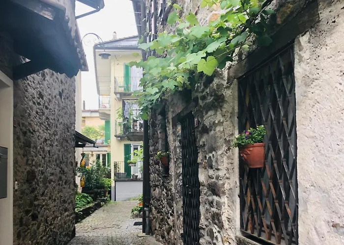 Rustico Il Nove